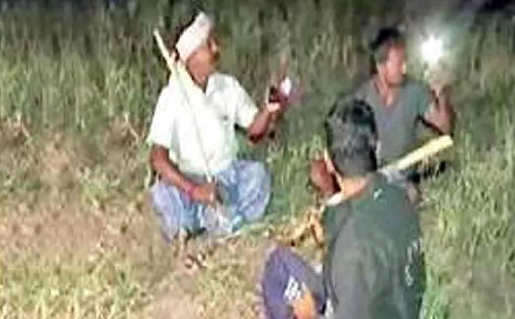 karnataka onion farmers preventing their fields