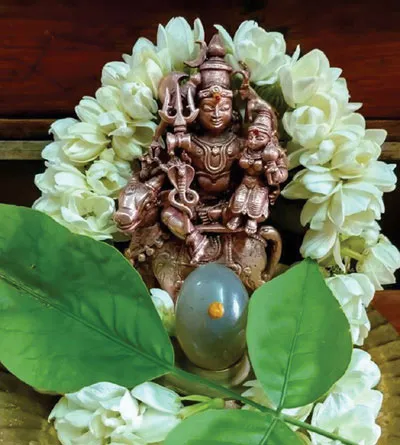 gandarva