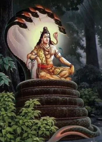 gandarvanadi