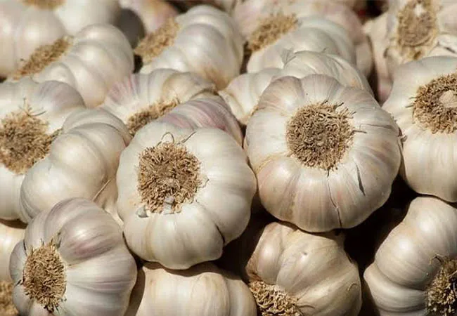 garlic price hike peoples shock 