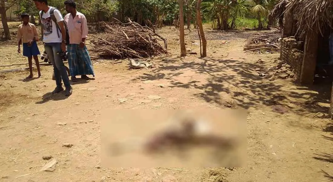 incident in vniyampadi...