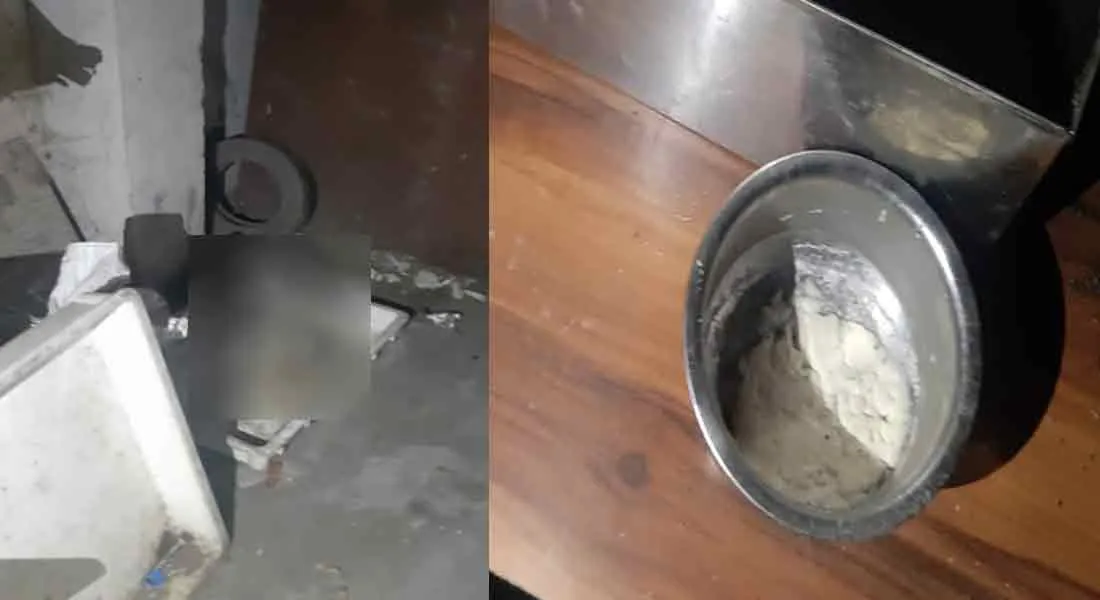 Cat in a pizza shop ... Municipal officials who closed the shop