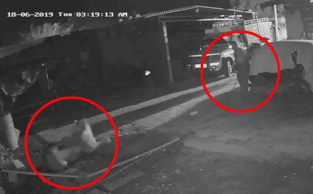 gujarat farmer fight with lion to save his cattle