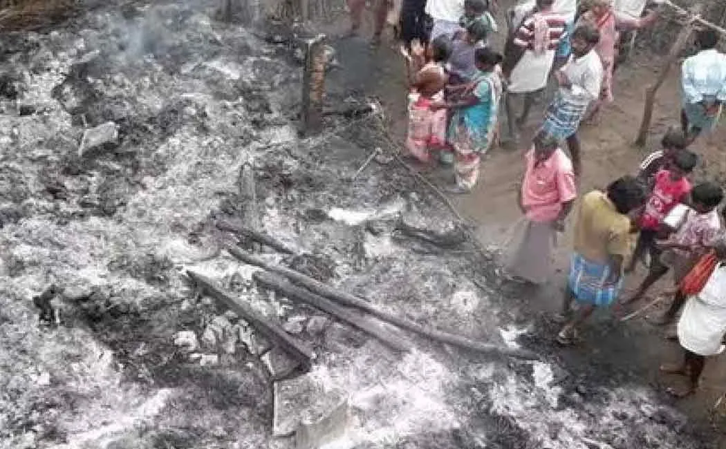 A family suffers death of 65 goats struck by thunder 