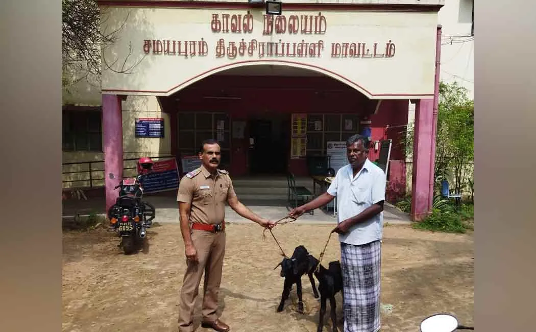 Three arrested for stealing goats