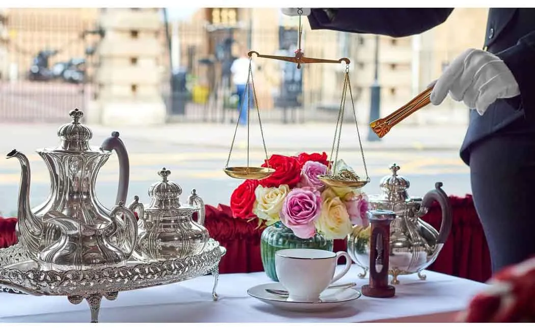 golden  tips tea