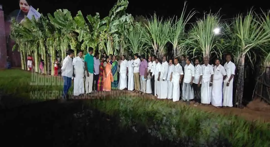  Banana, sugar cane, paddy field, created to welcome Edappadi