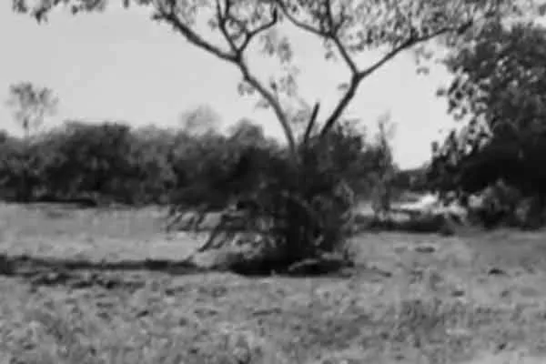 Virudhunagar dt sathur near guganparai factory incident 