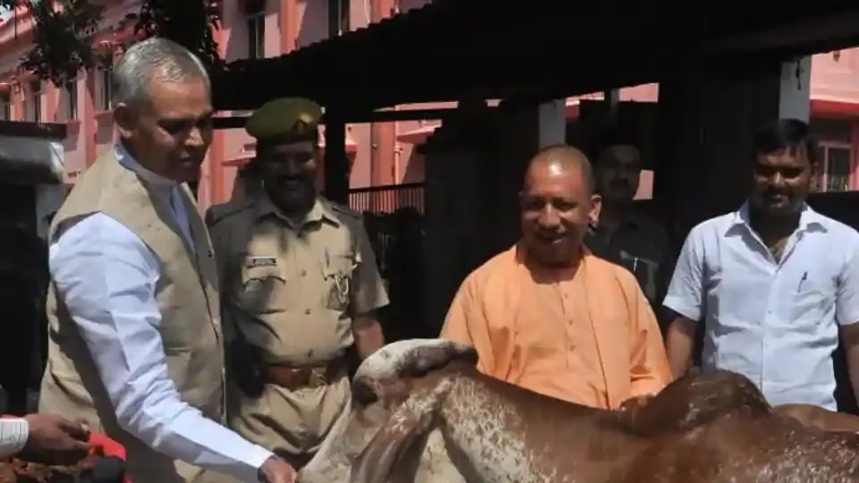 haryana