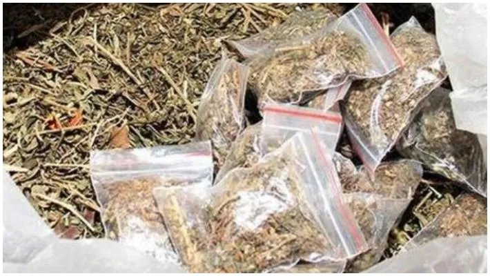  Cannabis gang arrested in Trichy