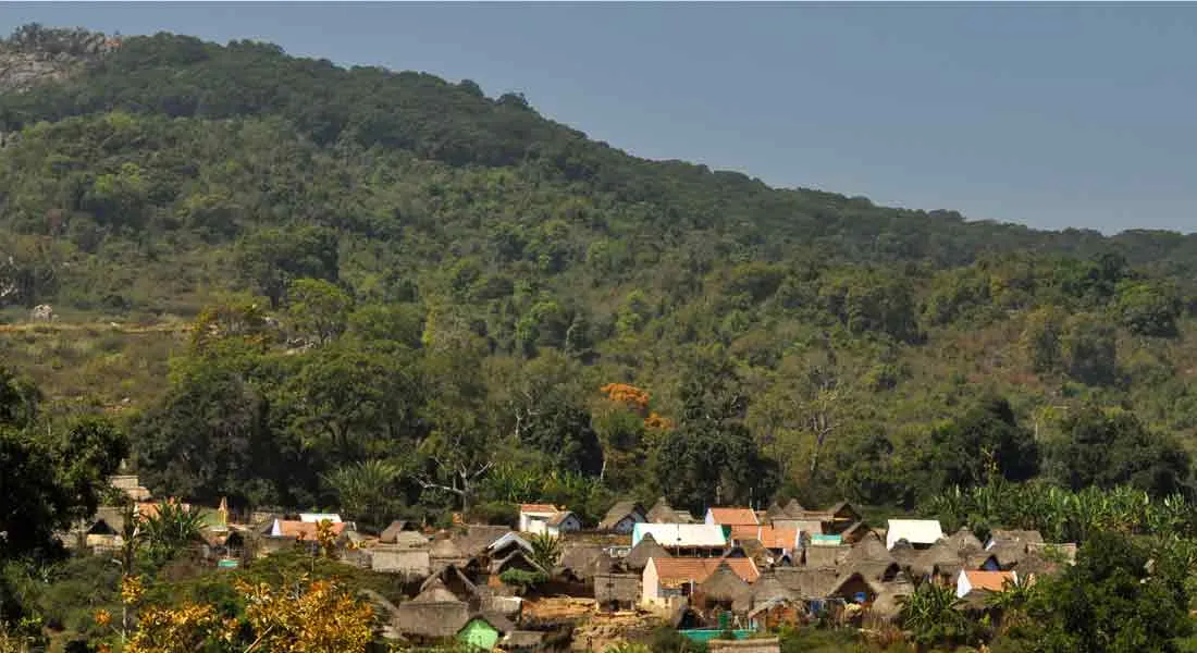  'Veerappan forest' changed to Leopard tiger forest  