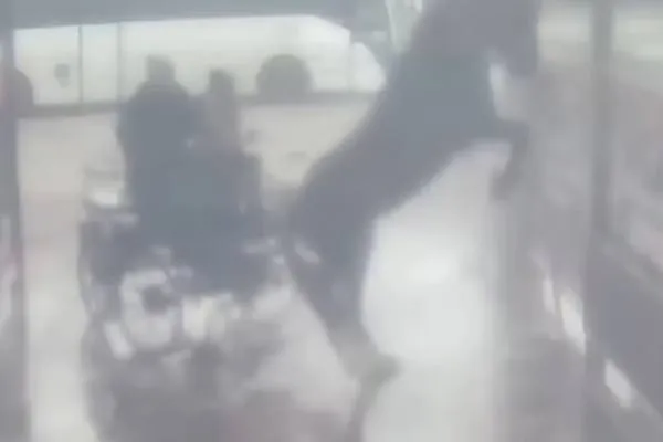 Owner gets 3 years in prison for bathing horse in hot water in poland 