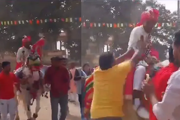 the incident that happened to the listed groom for ride a horse in gujarat