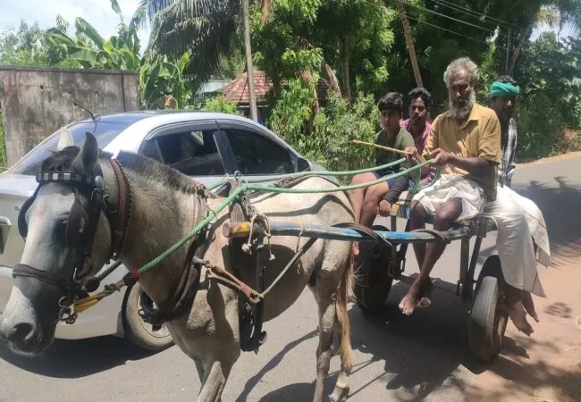 Can't put petrol Travel in a horse cart!