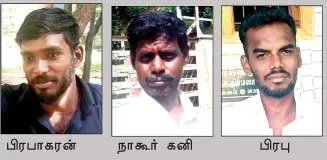 jallikattu