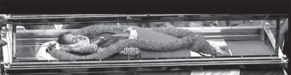 jaya