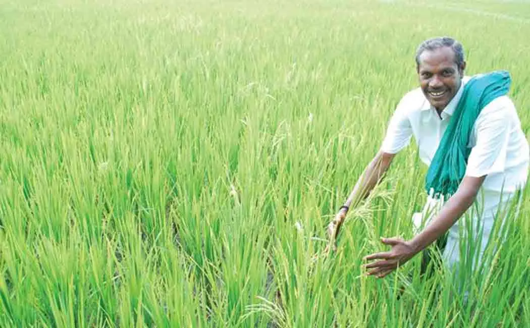 jayaraman 