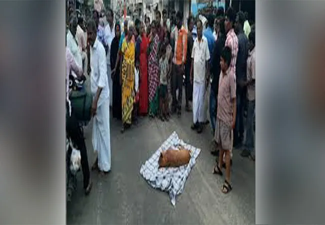 karur district dog died people crying police arrested in municipality employees