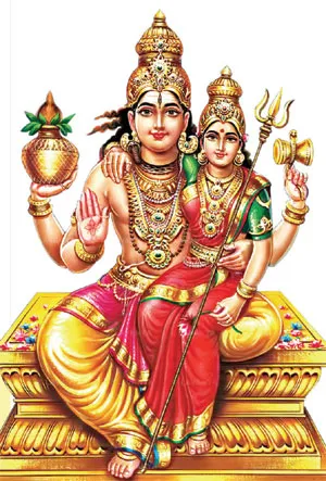 jothidamanswer