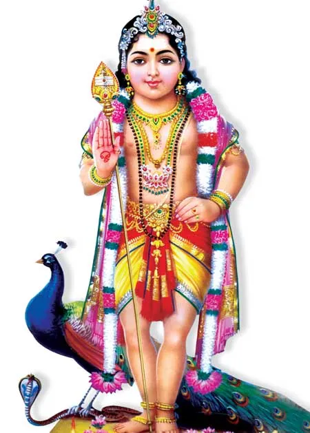 jothidamanswer