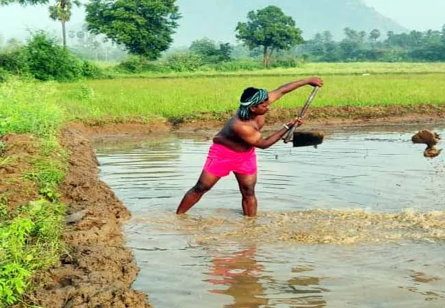 virudhunagar district rajapalayam kabadi sports leader need govt help 