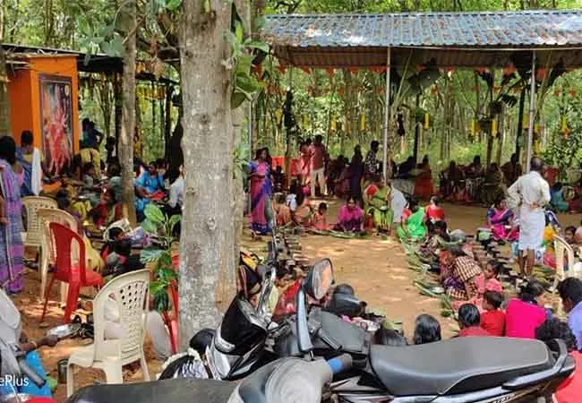 Traditional Palm Tail kanniyakumari temple festival 