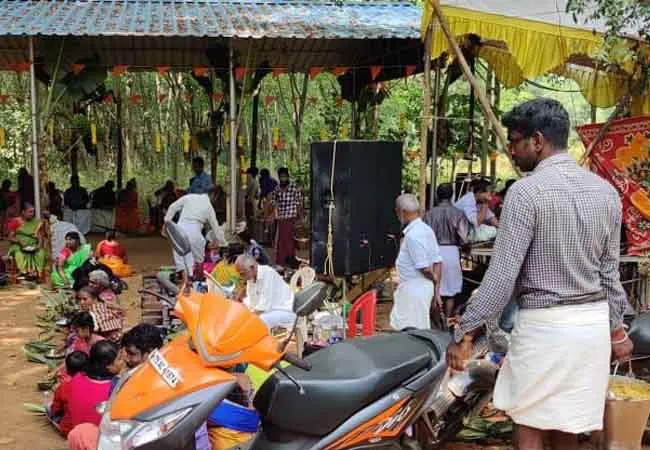 Traditional Palm Tail kanniyakumari temple festival 