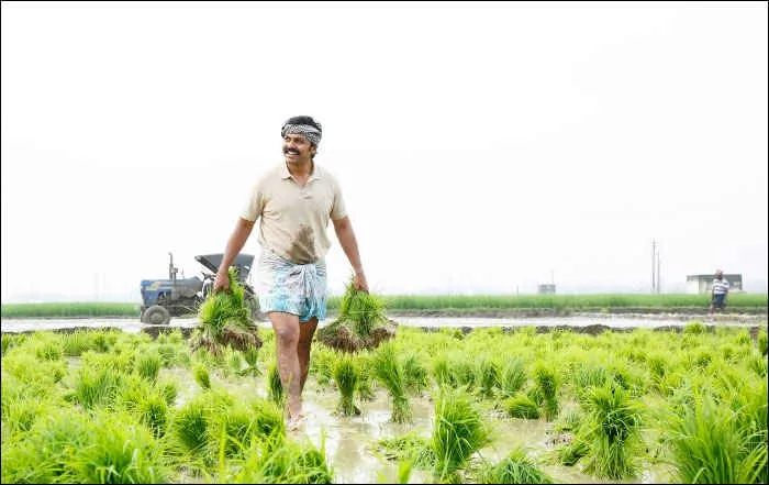karthi farmer