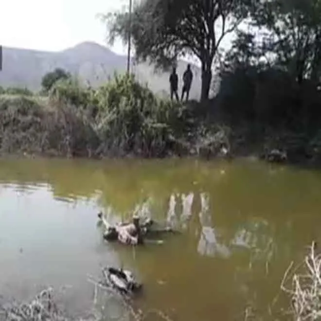 kadappa