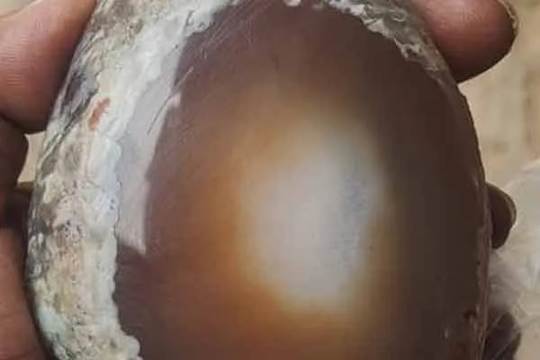 tirunelveli kalakad vitreous stones incident filed case in two persons 