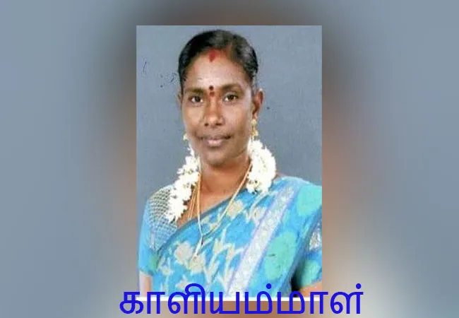 tn assembly election affidavit download election commission site 