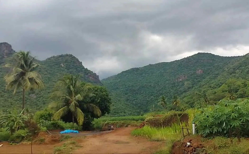 People who informed the forest department