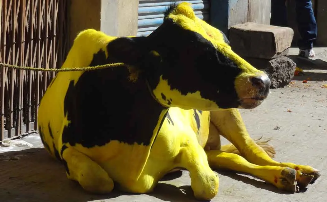 karnataka