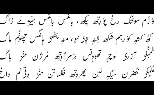 kashmiri