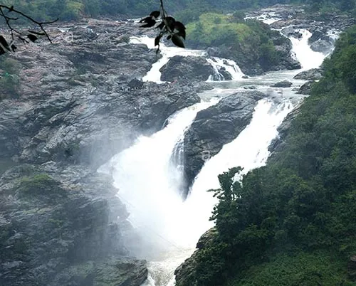 kaveri