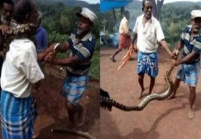 A man was rescued from a python by locals after the snake IN  Thiruvananthapuram, today. 