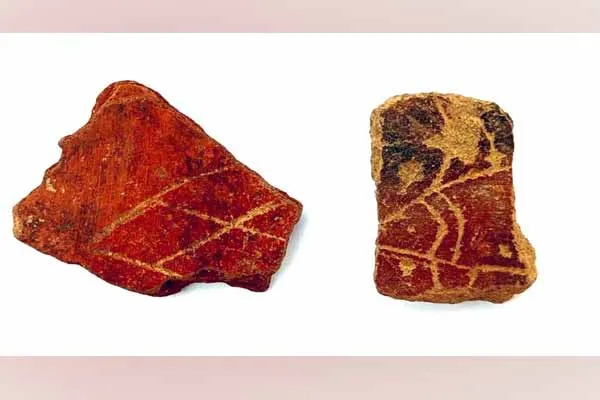Discovery of pots with fish motifs on the bottom!