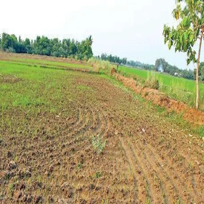 kovai