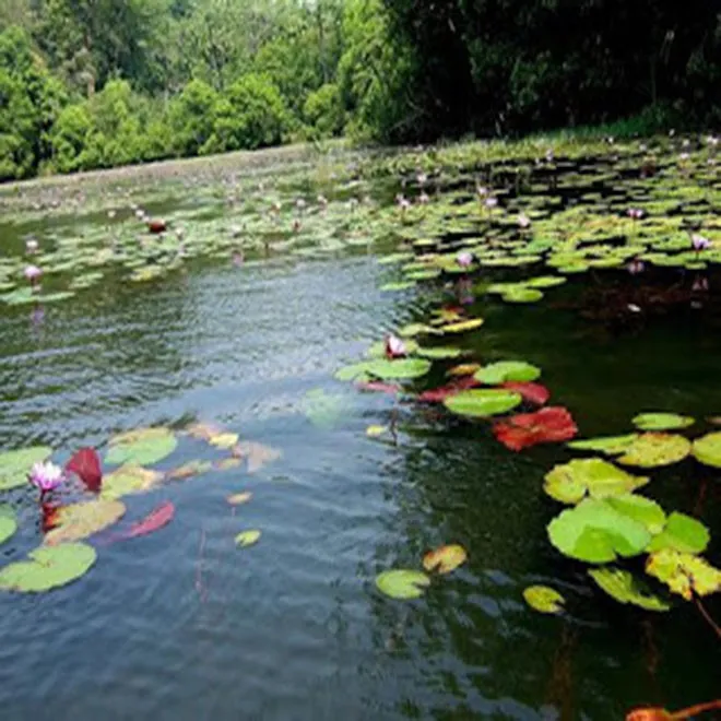 kulam