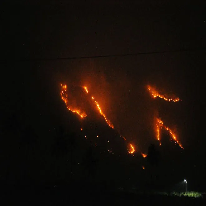 kurangani