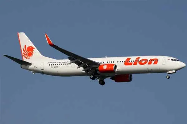 flight missing