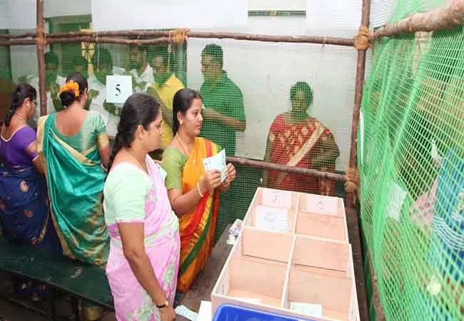 local body election vote counting issues chennai high court 