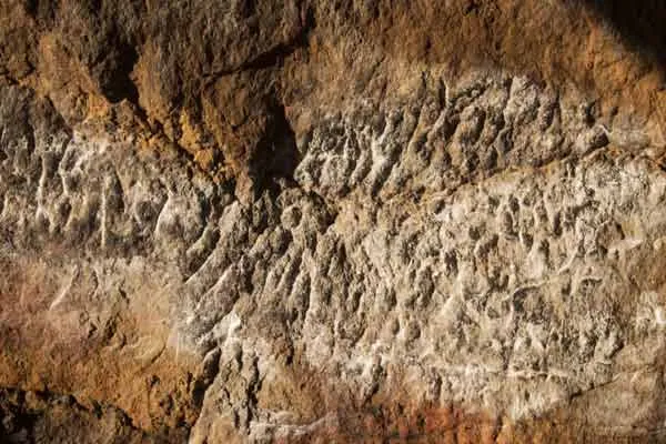 ancient tamil inscription discovered in madurai