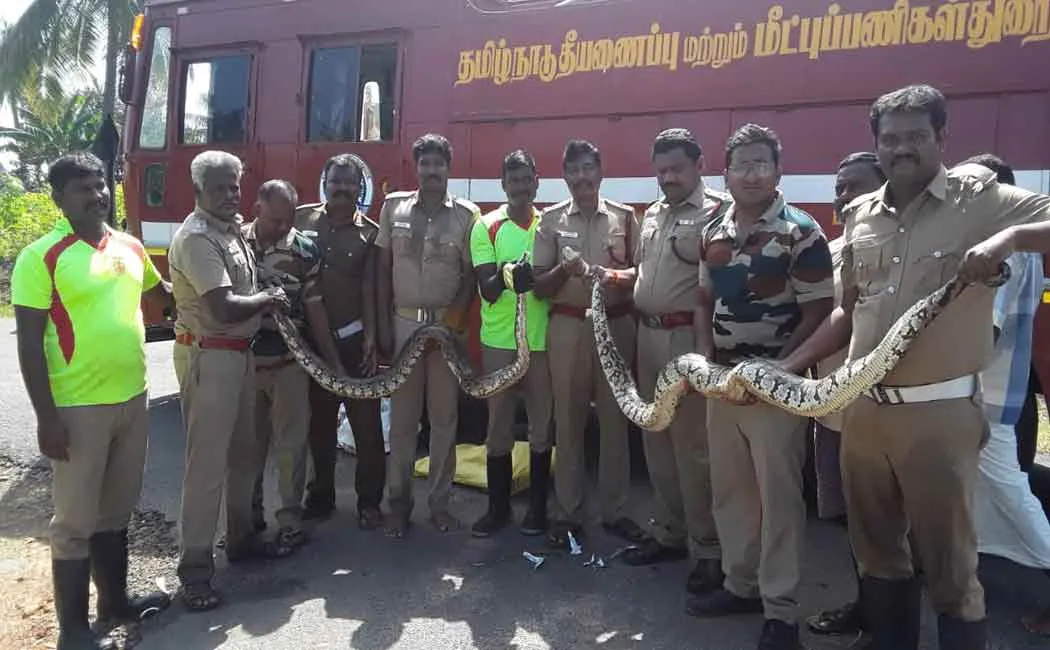 snake caught by fire department officers