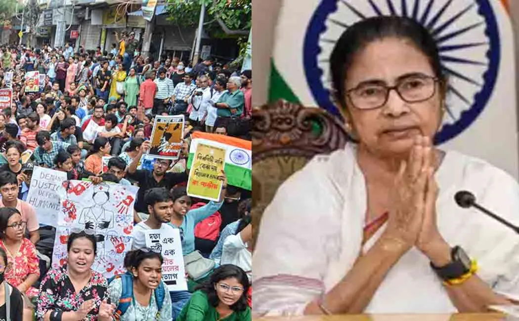 Mamata Banerjee accept the Doctors request in west bengal