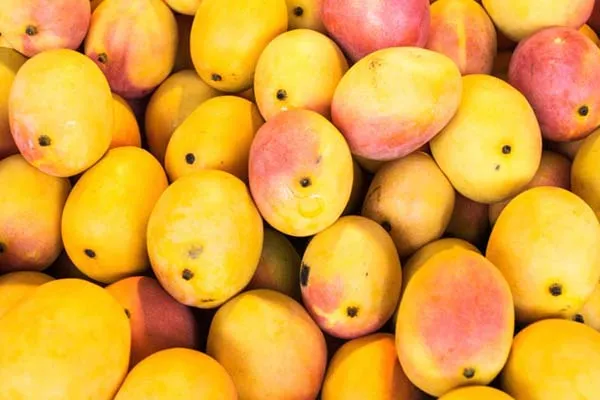 mango