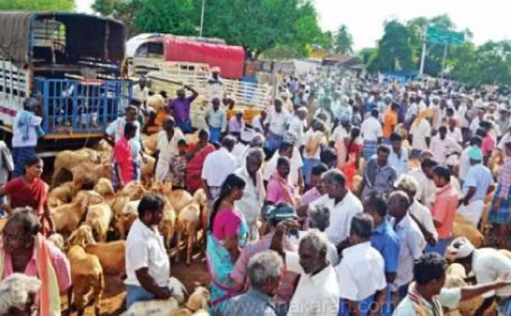 Konganapuram Saturn Market; 6 crore trade in one day!