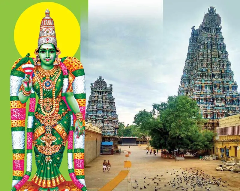 meenakshi