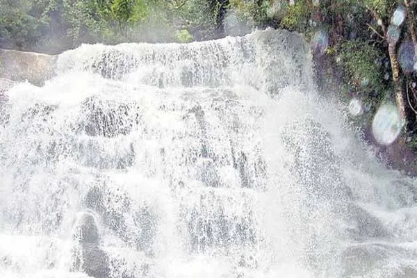 Ban to go to Meghamalai waterfall