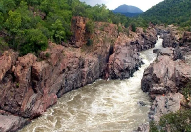 mekedatu dam national green tribunal judgement 
